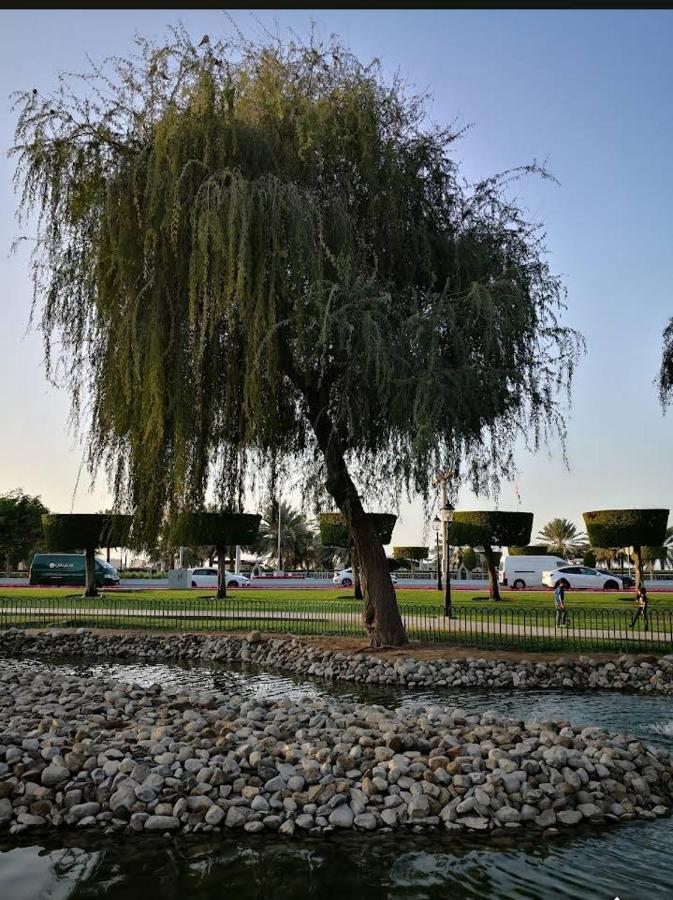 Remas's In Corniche *